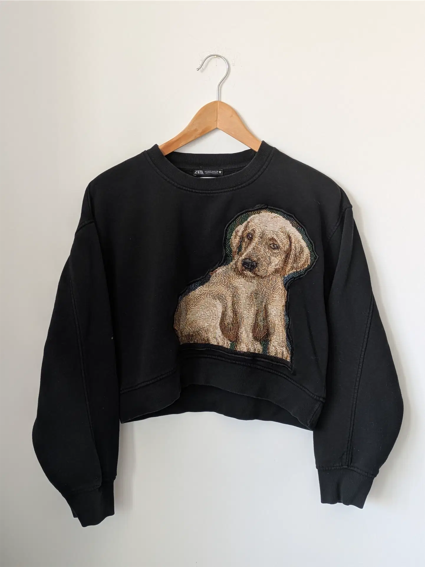 Black sweatshirt with a dog graphic on a hanger against a white background