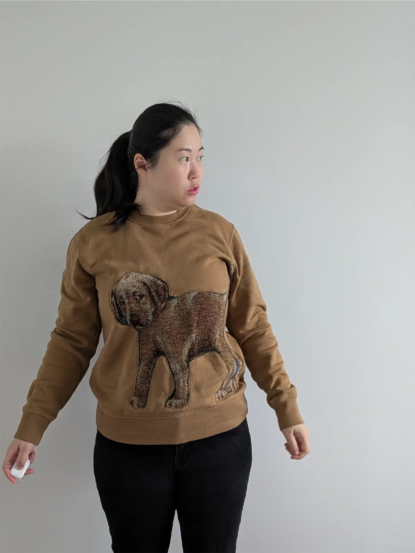 Brown Upcycled Sweatshirt - Puppies (Size M)