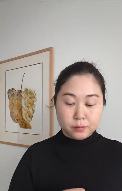 Retro Christmas Collar Necklace / Detachable Collar - Removable Accessories for Women